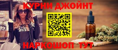 индика Дубна