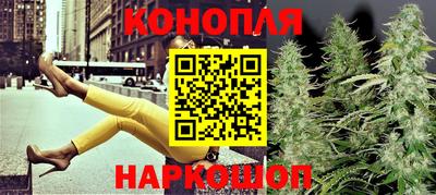 индика Дубна