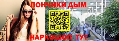 индика Дубна