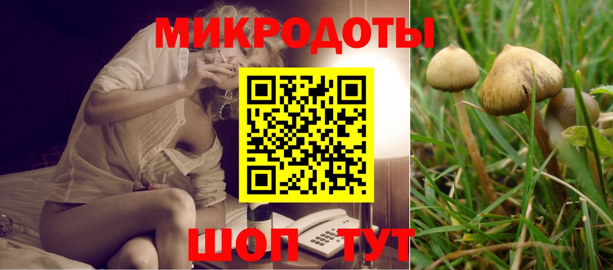 Галлюциногенные грибы Psilocybine cubensis  Вход с VPN  Назарово 
